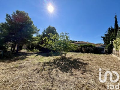 /international/fr/roquefort-des-corbieres-languedoc-roussillon-310105987087/