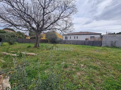 /international/fr/saint-andre-de-sangonis-languedoc-roussillon-310101133716/?lang=zh-tw