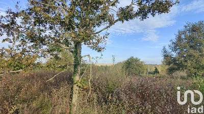 /international/fr/saint-maurice-thizouaille-burgundy-310106063351/