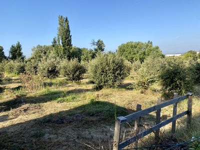 /international/fr/sainte-cecile-les-vignes-provence-alpes-cote-d-azur-310104596976/