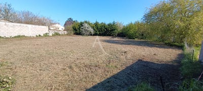 /international/fr/moeze-charente-310107008476/
