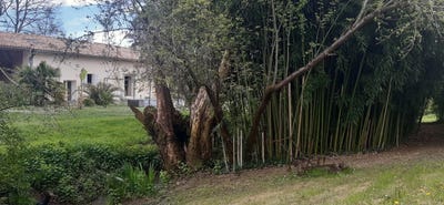 /international/fr/lamothe-capdeville-midi-pyrenees-310107431141/