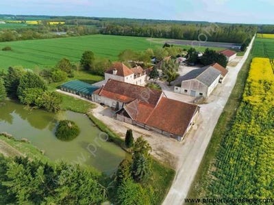 /international/fr/dijon-burgundy-310103644569/