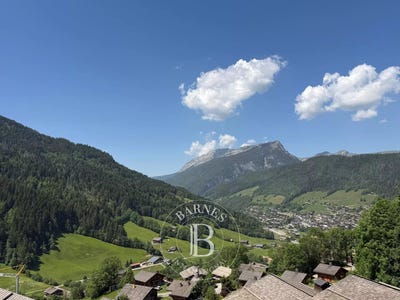 /international/fr/le-grand-bornand-rhone-310108401295/