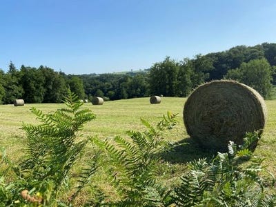 /international/fr/vigeois-limousin-310100174728/