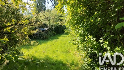 /international/fr/saint-jean-le-thomas-upper-normandy-310108419808/