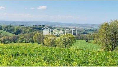 /international/fr/saint-christaud-midi-pyrenees-310107863406/