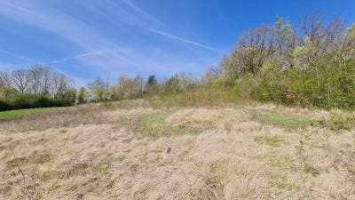 /international/fr/gallardon-centre-val-de-loire-310107886921/