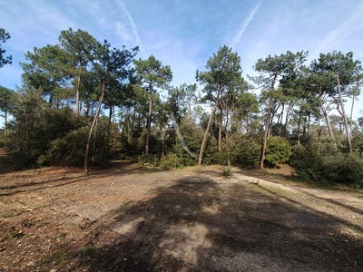 /international/fr/saint-jean-de-monts-pays-de-la-loire-310104471273/