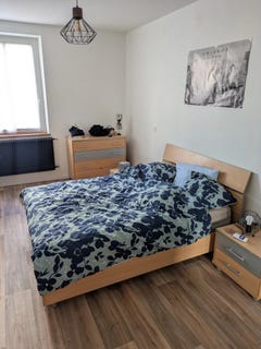 /international/fr/lingolsheim-alsace-310104946720/