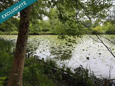 /international/fr/petit-auverne-pays-de-la-loire-310106831068/