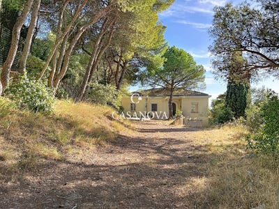 /international/fr/sete-languedoc-roussillon-310119973758/