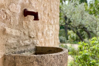 /international/fr/saint-remy-de-provence-provence-alpes-cote-d-azur-310101110513/