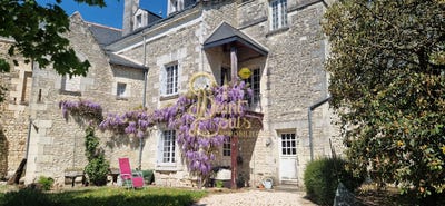 /international/fr/chinon-centre-val-de-loire-310108246158/