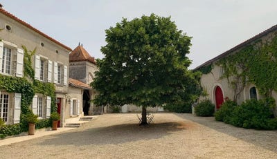 /international/fr/angouleme-charente-310120049943/