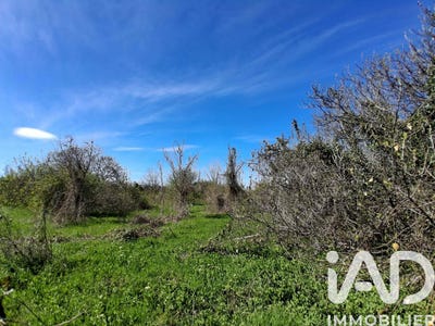 /international/fr/canet-en-roussillon-languedoc-roussillon-310106513151/