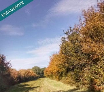 /international/fr/la-rochelle-charente-310108972583/