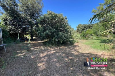 /international/fr/beaulieu-languedoc-roussillon-310109093625/?lang=it
