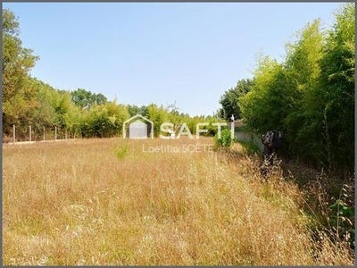/international/fr/beauzelle-midi-pyrenees-310103139109/