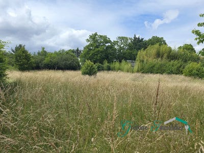 /international/fr/montigny-sur-loing-ile-de-france-310108994248/
