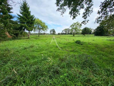 /international/fr/marsac-sur-don-pays-de-la-loire-310104462988/