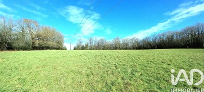 /international/fr/saint-yrieix-la-perche-limousin-310105248384/