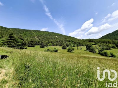 /international/fr/senez-provence-alpes-cote-d-azur-310100273995/