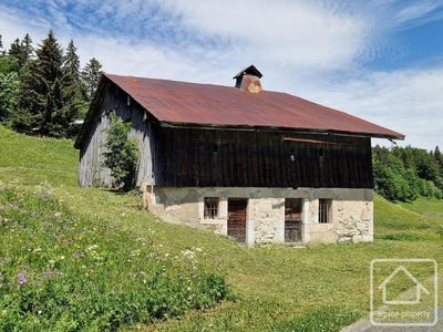 /international/fr/onnion-rhone-310108870987/