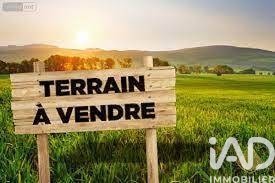 /international/fr/annet-sur-marne-ile-de-france-310105374042/
