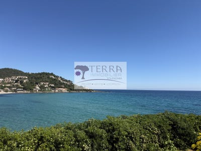 /international/fr/conca-corsica-310107577515/