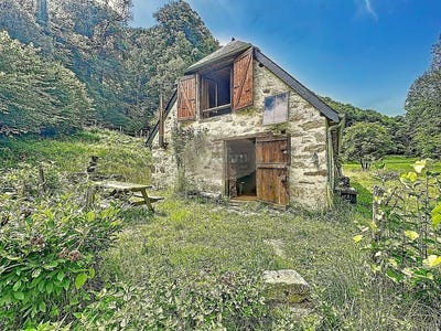 /international/fr/campan-midi-pyrenees-310107887658/