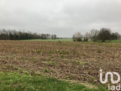 /international/fr/mulsanne-pays-de-la-loire-310101326074/