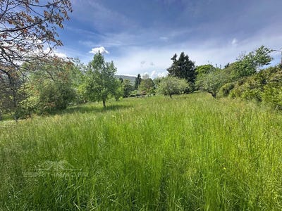 /international/fr/bassy-rhone-310101711138/