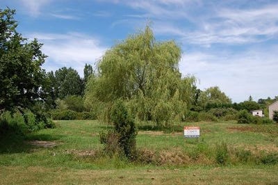 /international/fr/etauliers-aquitaine-310100860914/