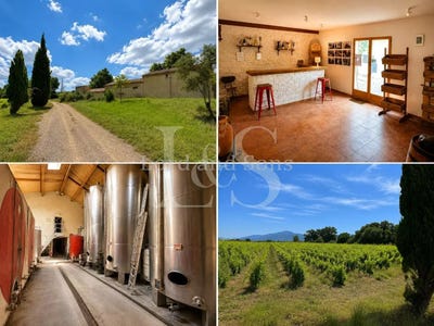 /international/fr/vinsobres-rhone-310108329235/