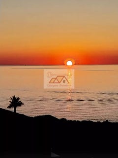 /international/fr/lumio-corsica-310103099517/
