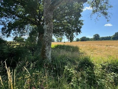 /international/fr/saint-emiland-burgundy-120097208678/