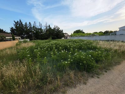/international/fr/saint-quentin-la-poterie-languedoc-roussillon-310108994441/