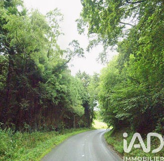 /international/fr/froberville-upper-normandy-310106392432/