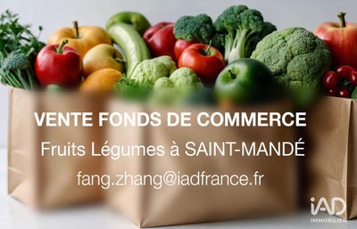 /international/fr/saint-mande-ile-de-france-310104245541/