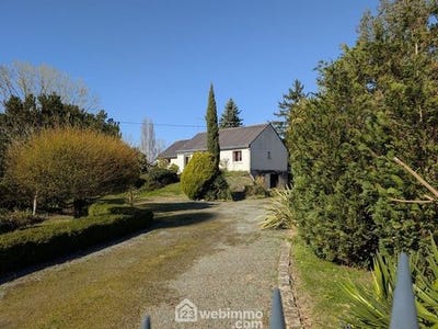 /international/fr/corne-pays-de-la-loire-310106268107/