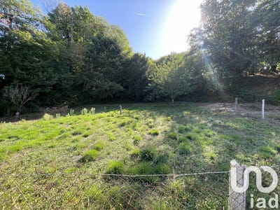 /international/fr/bosmie-l-aiguille-limousin-310105207464/