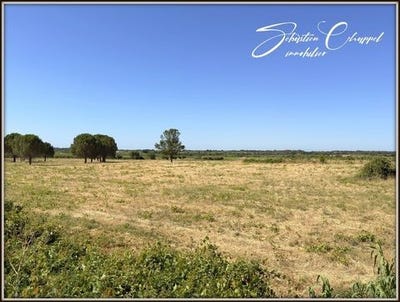 /international/fr/roujan-languedoc-roussillon-310100877693/