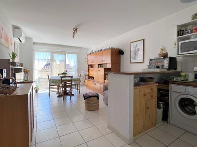 /international/fr/albi-midi-pyrenees-310107978968/