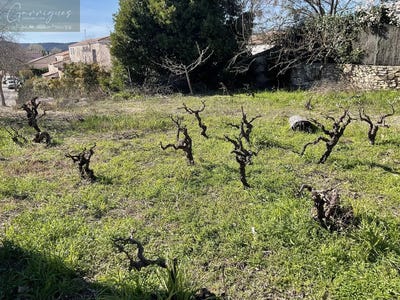 /international/fr/clarensac-languedoc-roussillon-310105945578/