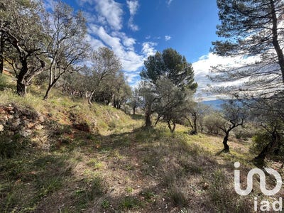 /international/fr/bargemon-provence-alpes-cote-d-azur-310101131311/
