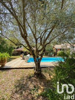 /international/fr/saujon-charente-310101155826/