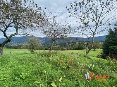 /international/fr/ayn-midi-pyrenees-310099684898/