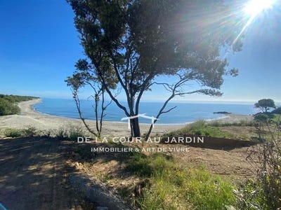 /international/fr/linguizzetta-corsica-310108729153/