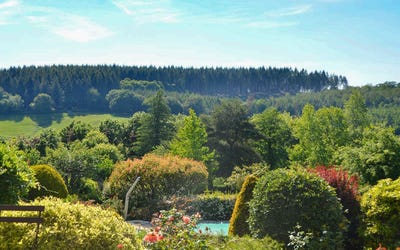 /international/fr/saint-martin-du-puy-burgundy-310104301790/